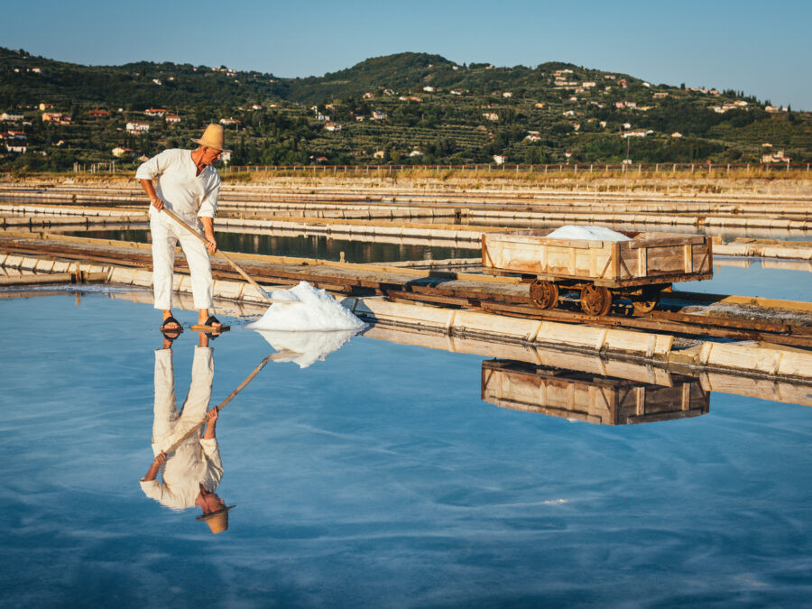 visita saline di sicciole