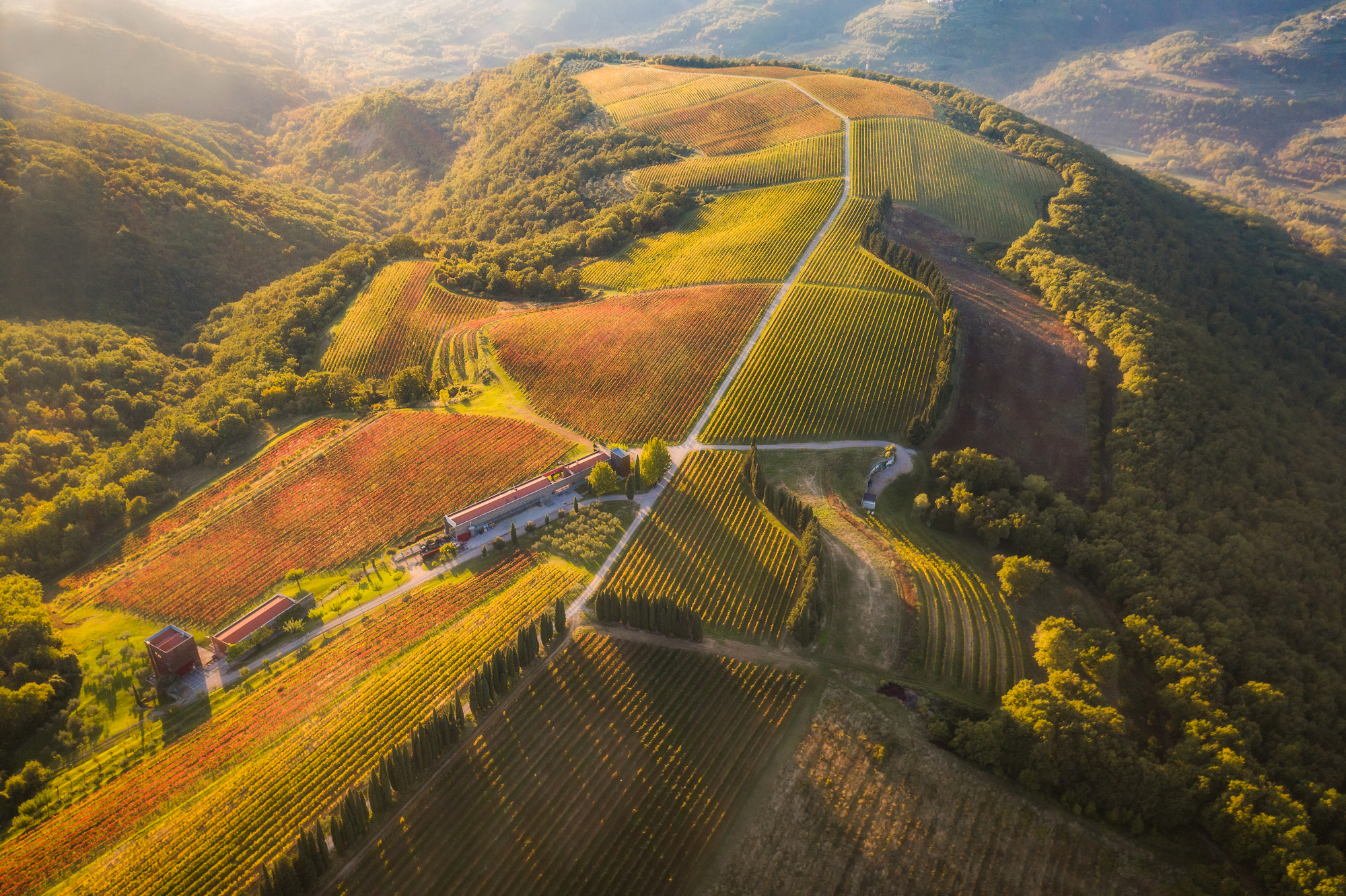 Istria Slovena