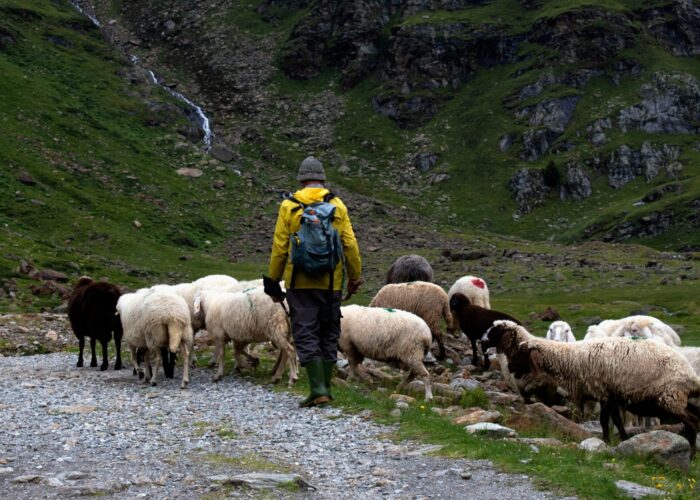 Vipiteno: vivi il fascino delle Alpi