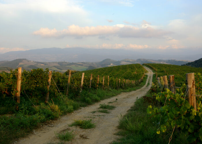 Guida vini d’Italia 2025: l’eccellenza del vino italiano secondo Gambero Rosso