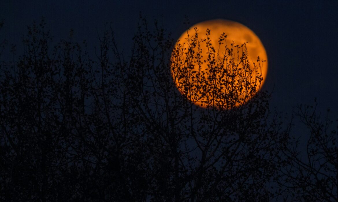 Un Halloween da brividi nei castelli dell’Emilia