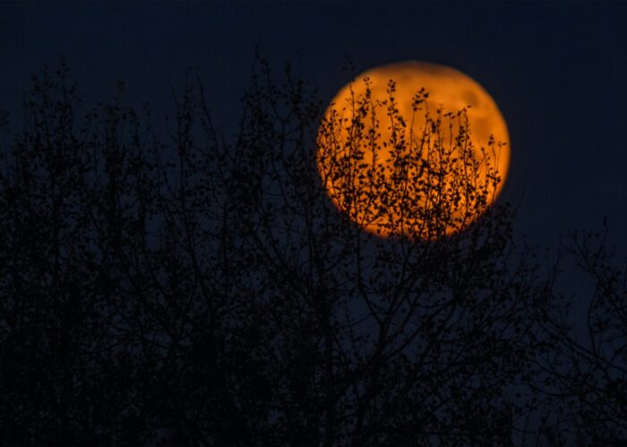 Un Halloween da brividi nei castelli dell’Emilia